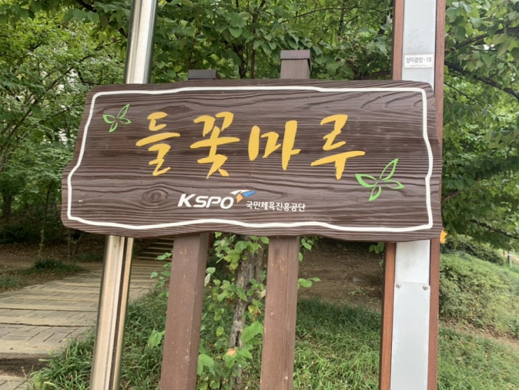  혼자서 잘놀아요️