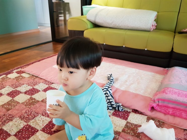  제주 풀먹은 우유 이건 깜놀이 에게 없어서는 안되요