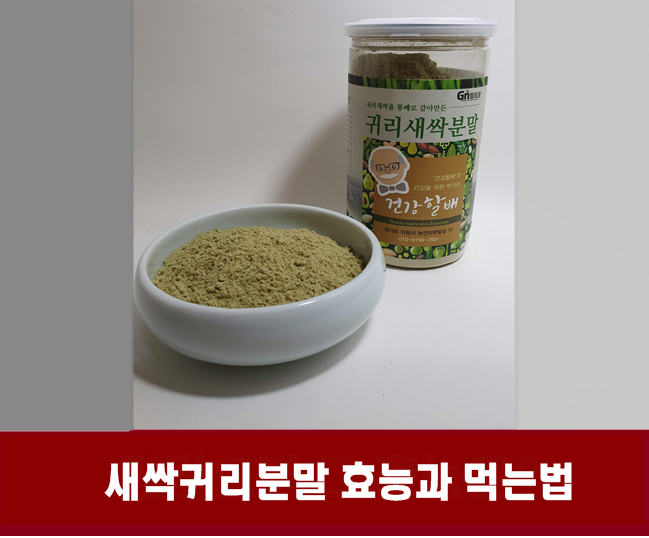  새싹귀리 분말 효능 부작용없이 먹는 법, 귀리새싹 파는 곳