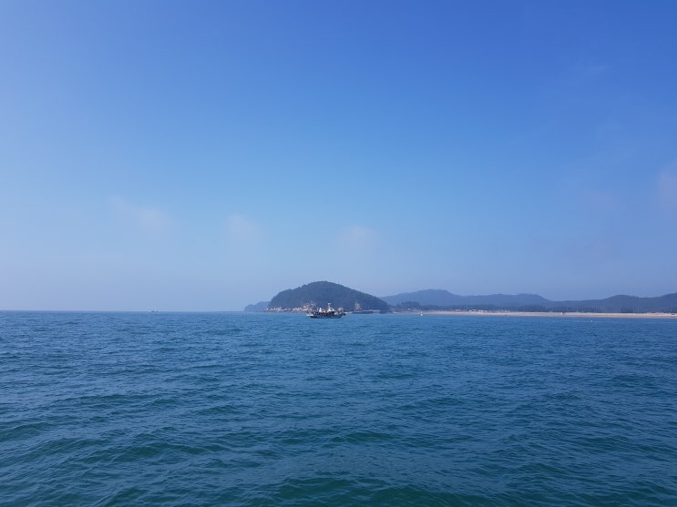  1년에 한번  쭈꾸미 선상