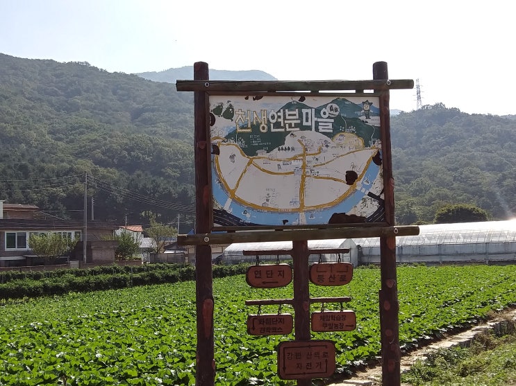  경기도 체험 천생연분마을 가을여행!  슈돌 천생연분 유아인성학교