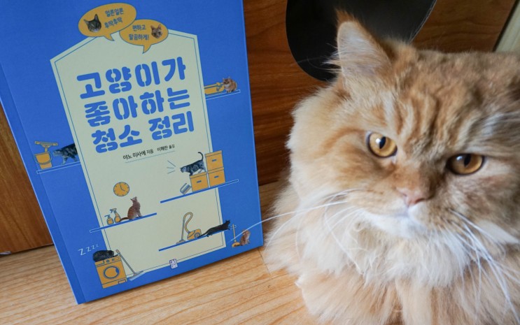 [서평] 고양이가 좋아하는 청소정리 (f. 야옹이신문)