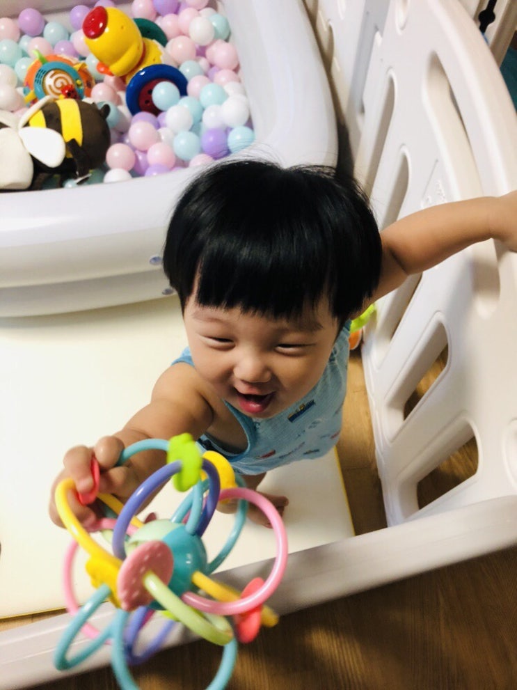  269일의 기록,수유텀.수유량.이유식량.수면시간,중기이유식2단계 소고기무가지죽 닭고기당근양배추죽 3일차, 베이비락 생유산균 47일차,일산킨텍스 코베 베이비페어 다녀왔어요!