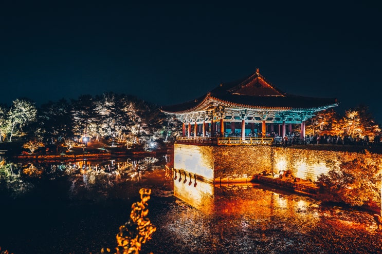  아름다운 경주야경을 한눈에! 경주 야간시티투어 아이들과 다녀온 후기