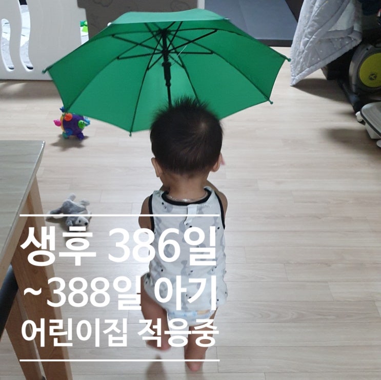  생후 12개월 386일 ~ 388일 아기 : 어린이집 적응중