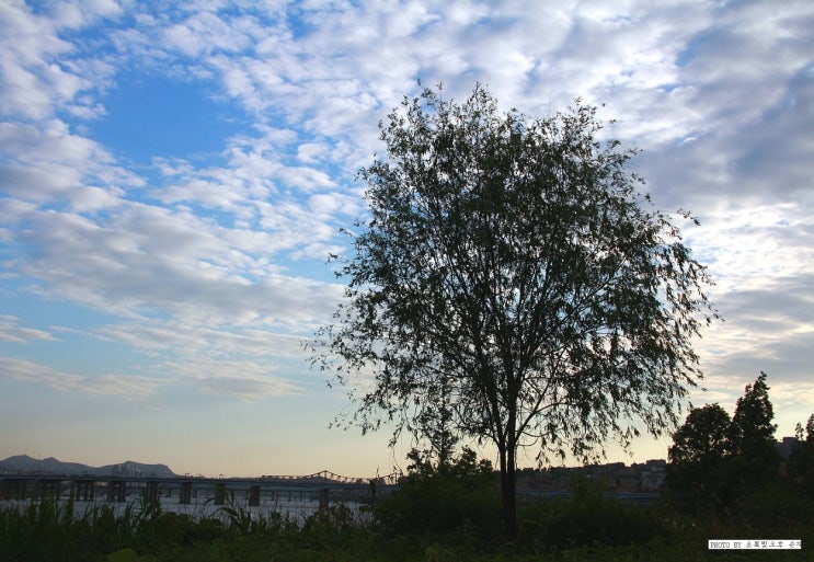  수필 / 제목 : 그럴 나이 / 최민자 / 에세이문학 / 2019년 여름호 / 음미해 볼만한 수필 / 수필을 필사하다.  
