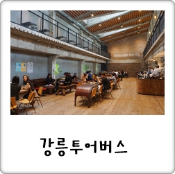  강릉 뚜벅이여행 주목! 시티투어버스 웰니스관광 1코스 본전뽑기