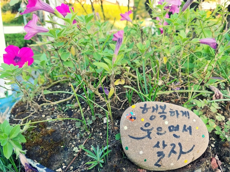  밧개해수욕장펜션 해변에 나가 조카와 놀아주기