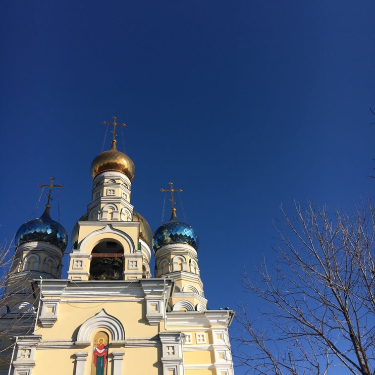  Vladivostok(정교회,Coffee place ,기차역 ,개선문, 잠수함 박물관)