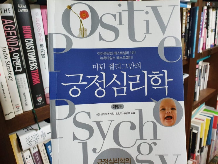  긍정심리학  - 낙관성 학습