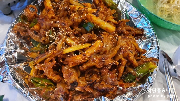  공릉동 닭발 맛집 이런씨불닭발 애견동반 가능