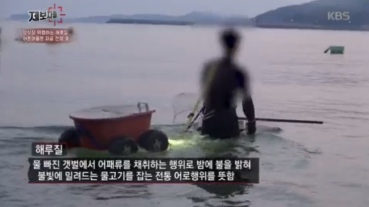  10월 3일 방송된 KBS 제보자들을 본 후기