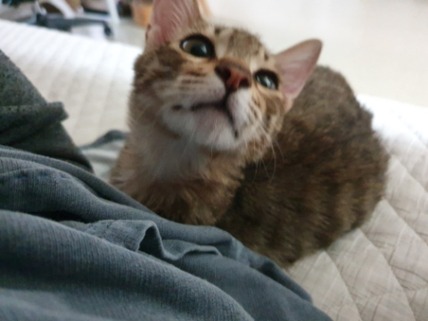  내눈에만 귀엽나요??@@