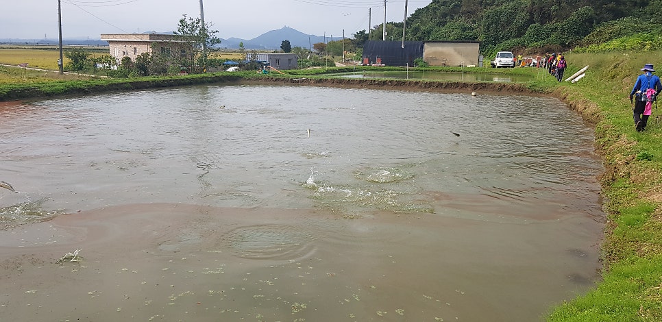 등잔거리산 사진 5