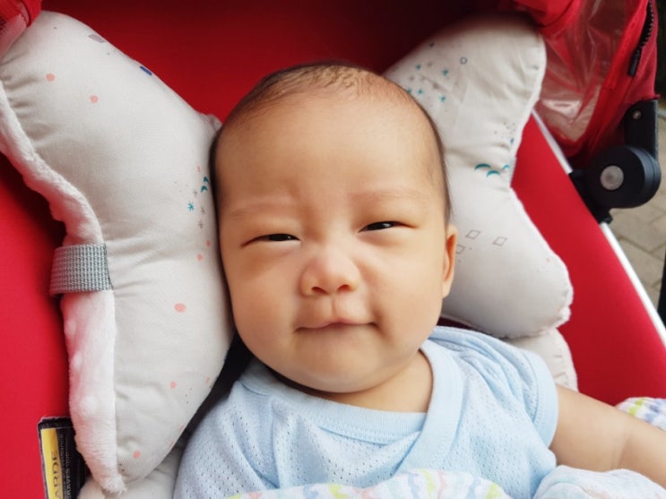  엘츠 노르딕 유모차라이너 : 폭신하고 포근한 사계절 유모차시트