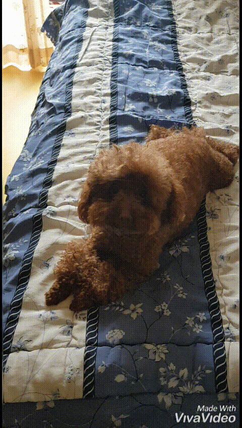  토요일은 밤이 좋아