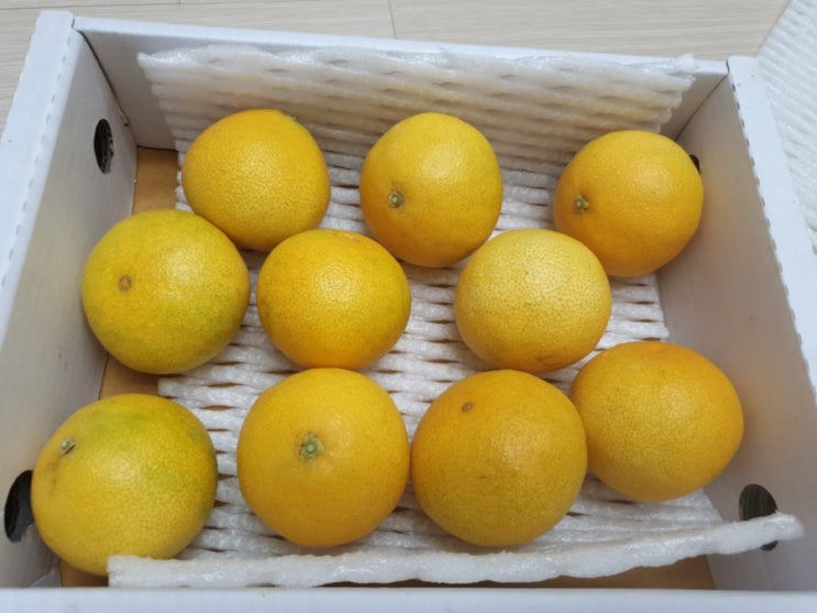  제주도 황금향 감귤 맛있어서 택배로 또 주문했는데 역시 맛있네요