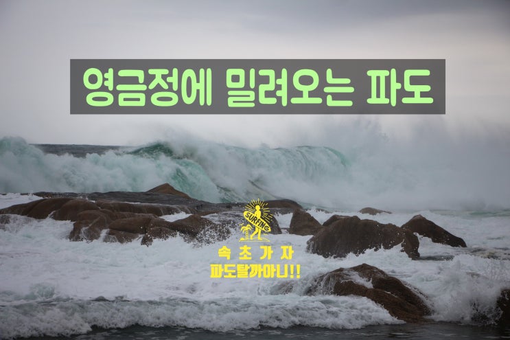  태풍 미탁도 비껴간 속초앞바다 파도가 내마음을 시원하게 만든다 파도야 춤을 추어라 뜻밖에 선물을 받던날!!!