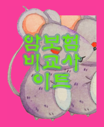  암보험비교사이트  궁금한거