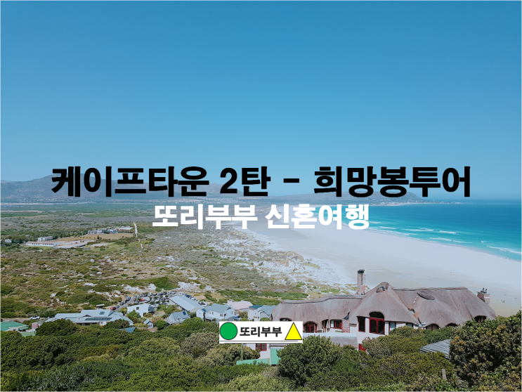  남아공 케이프타운 헛베이 물개섬, 채프먼스피크, 희망봉, 볼더스비치 펭귄해변 투어 (feat. 아프리카 신혼여행 마지막이야기)