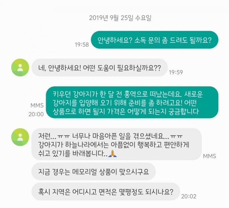  강아지 홍역엔 집안 소독, 둘째 데려오기 전 집 관리하기, 솔직후기 강추! : 웰펫케어