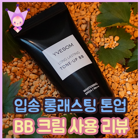  비비 BB크림 추천, 입솜 롱래스팅 톤업BB 리뷰 뷰티의 여왕