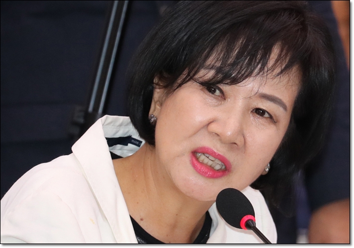  김성태 “與 이재정 버릇 없다” 발언에…손혜원 “金, 정치 지저분하게 배워”