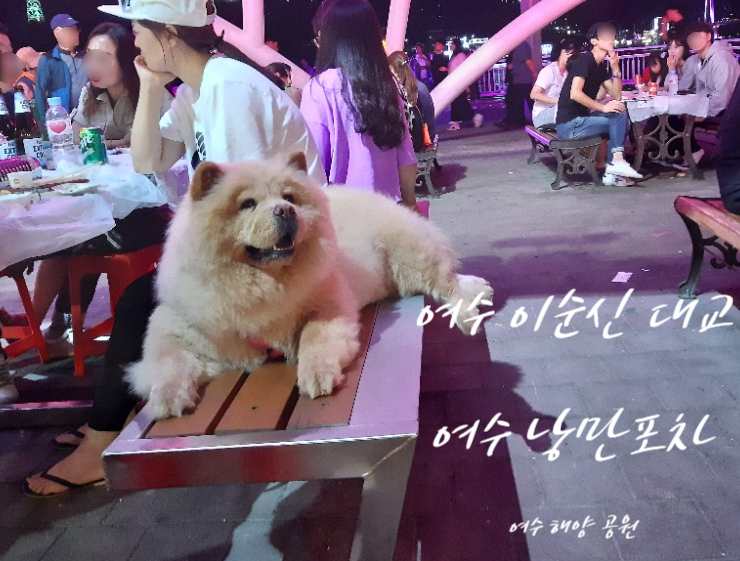  여수 밤바다 낭만포차거리 같이 즐겨요.