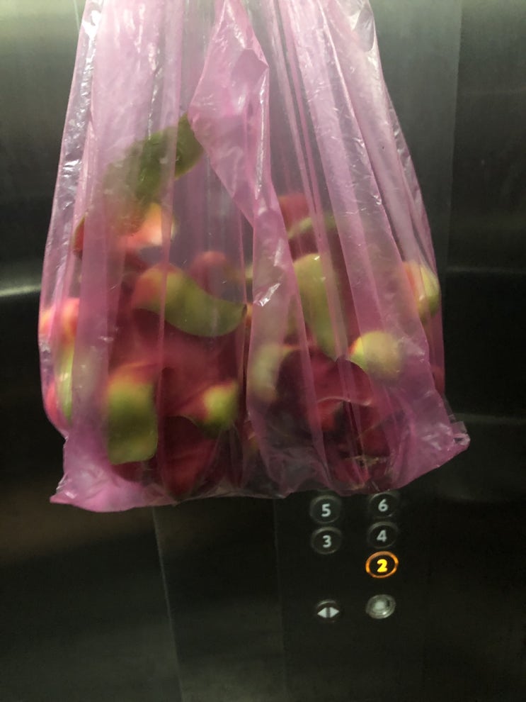  [일곱번째 호치민]1차 활동보고서 제출!