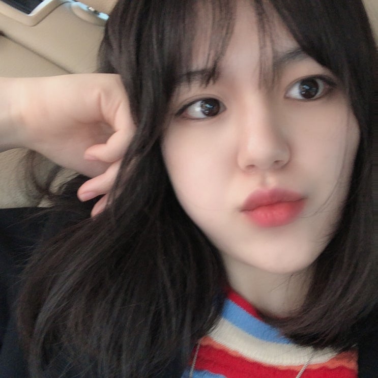  제주살이 기록 |