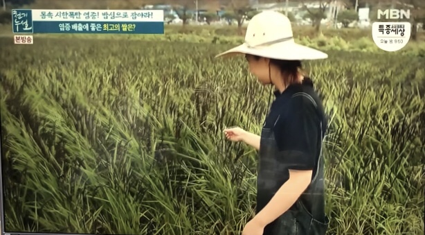  [천기누설] 건강홍미, 찰녹미 농사짓는 그녀_이선화농부