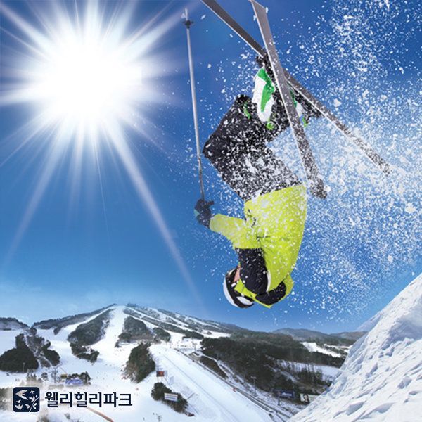 웰리힐리파크 19/20시즌 시즌권 2차 특가 올데이 싱글권 웰리힐리파크 19/20시즌 시즌권 2차 특가 올데이 싱글권