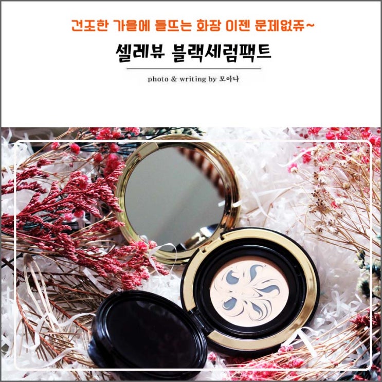  촉촉한쿠션 셀레뷰 블랙세럼팩트 가을에 딱!