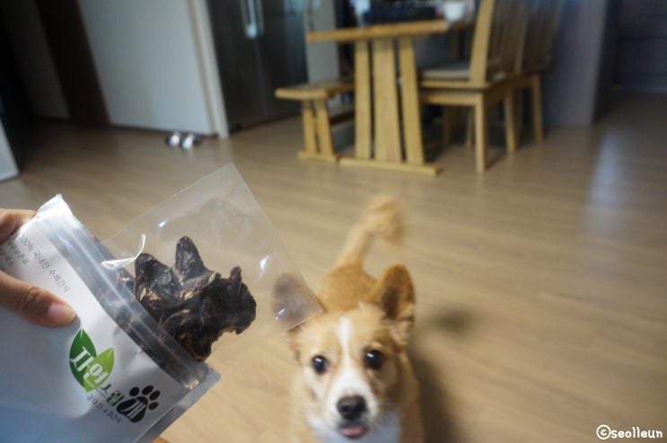  강아지 수제간식 / 자연스럽개 #오리염통 #오리목뼈 #오리안심 #오리쿠키