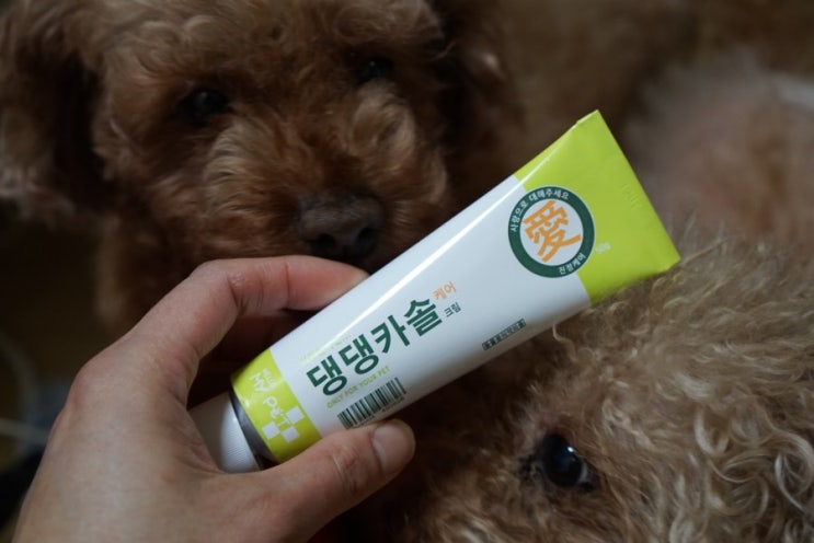  강아지후시딘 헬로마이펫 댕댕카솔 발라보세요
