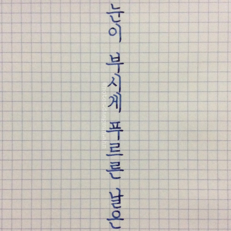  세로짜기와 가로짜기