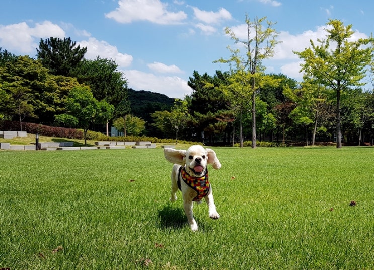  생태공원