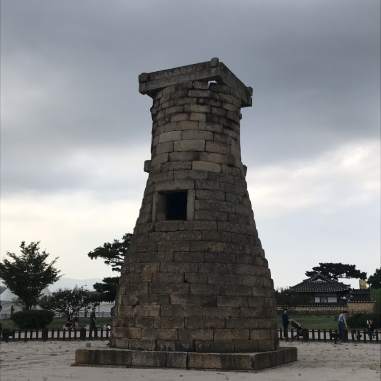  경주 당일치기 여행
