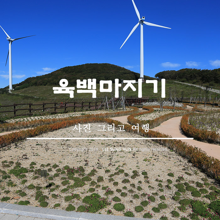  날씨좋은날 다녀온 육백마지기