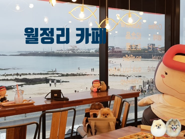  해녀 컨셉의 월정리 카페 에서~