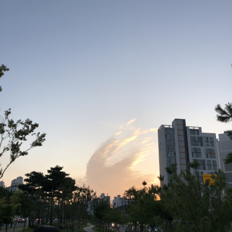  9월 개강 이후 일상
