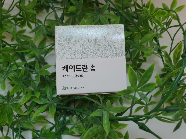  모낭염 비누 율무가 들어간 케이트린솝