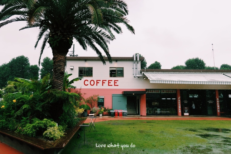  일본 <도쿄/아오야마 카페> 리틀달링 커피 로스터스(Little Darling Coffee Roasters)
