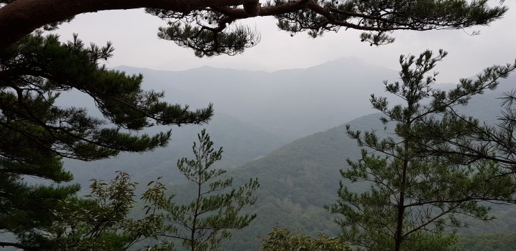  산행 - 산책 & 휴식