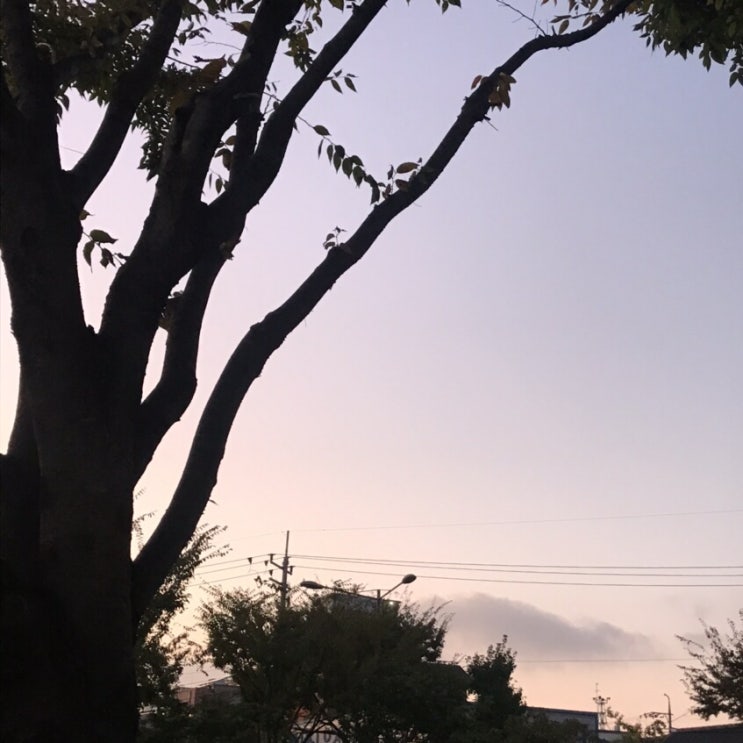  흘러가다보면 어느새 그렇게