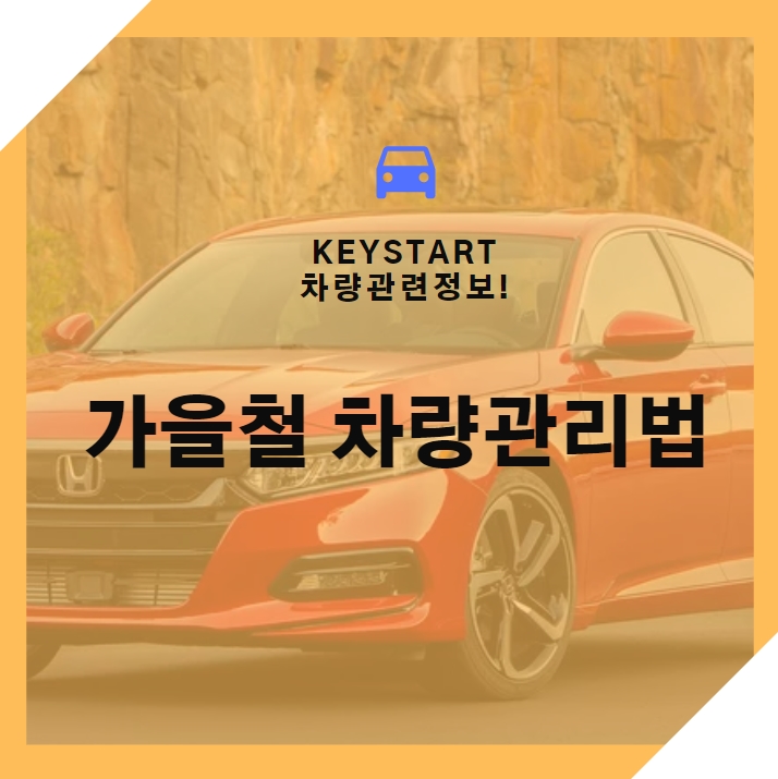  가을철 차량관리법 알려드립니다!