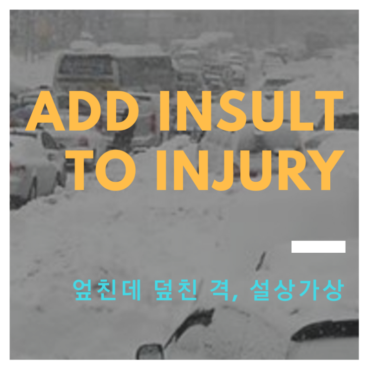  <영어이디엄>add insult to injury/엎친 데 덮친 격
