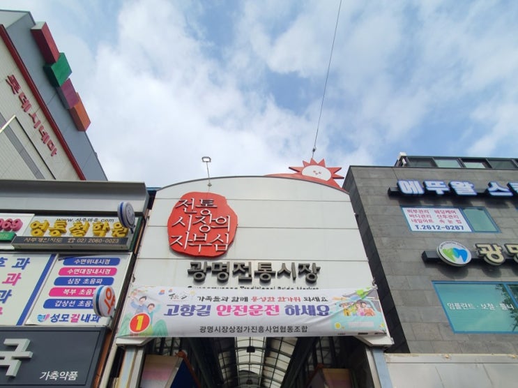  [일상] 남자눈썹문신, 광명전통시장 나들이(원조튀김/꼬마김밥/닭강정/과일)