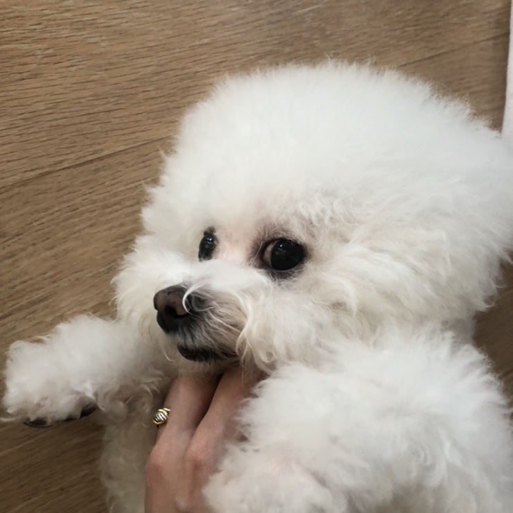  벌써ㅠㅠ