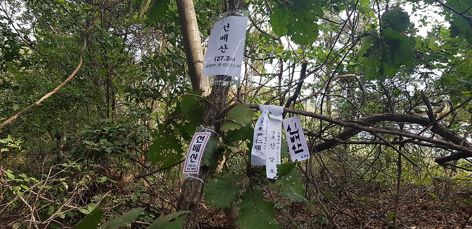 등잔거리산 사진 6